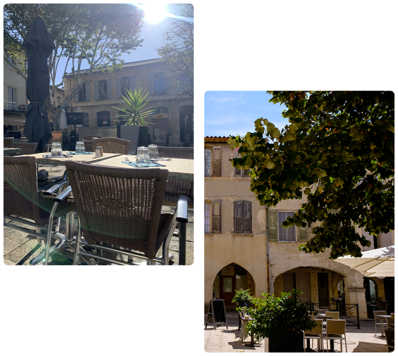 La Salamandre - restaurant VILLENEUVE-LES-AVIGNON - restaurant a faire VILLENEUVE-LES-AVIGNON