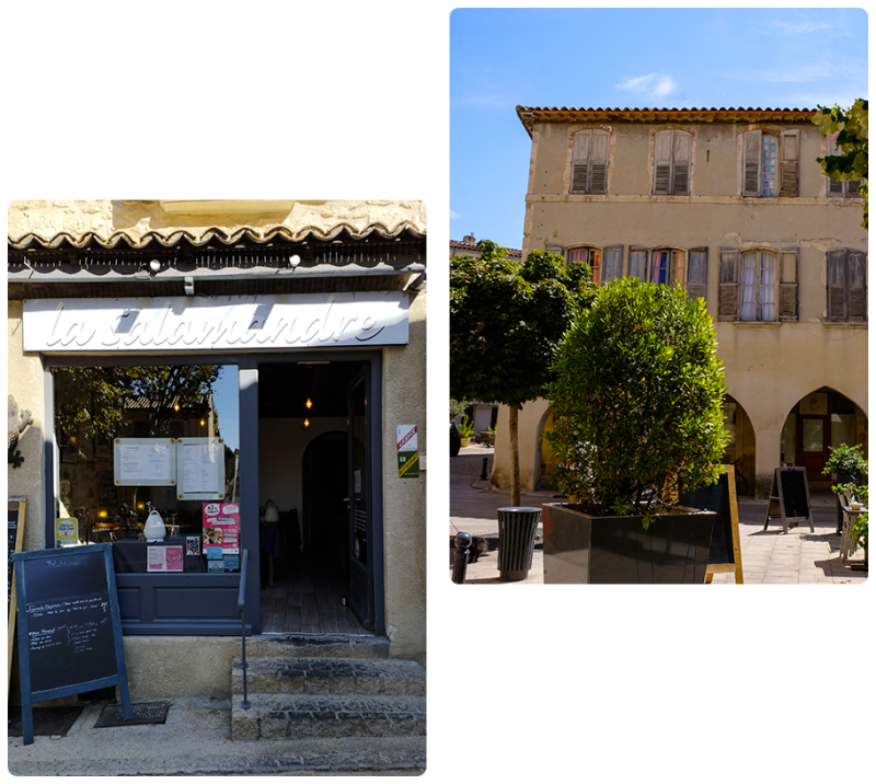 La Salamandre - restaurant VILLENEUVE-LES-AVIGNON - manger a VILLENEUVE-LES-AVIGNON